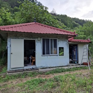latest image