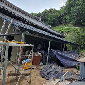 latest image